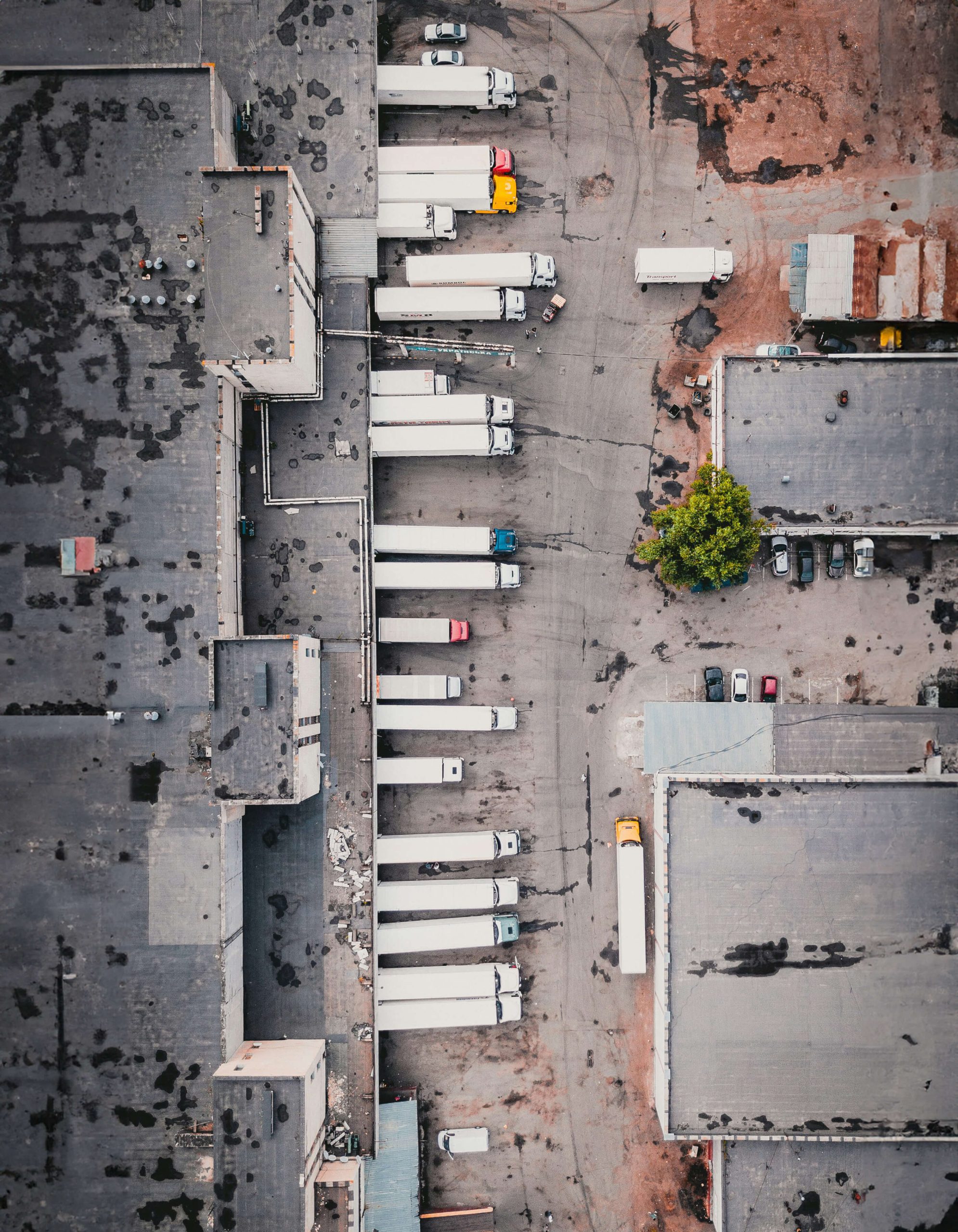 ivan-bandura-N_FDXbXwQmc-unsplash-1